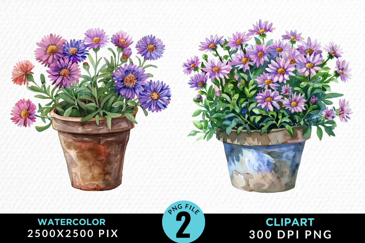 Watercolor Asters Pot Graphics Clipart product image 1
