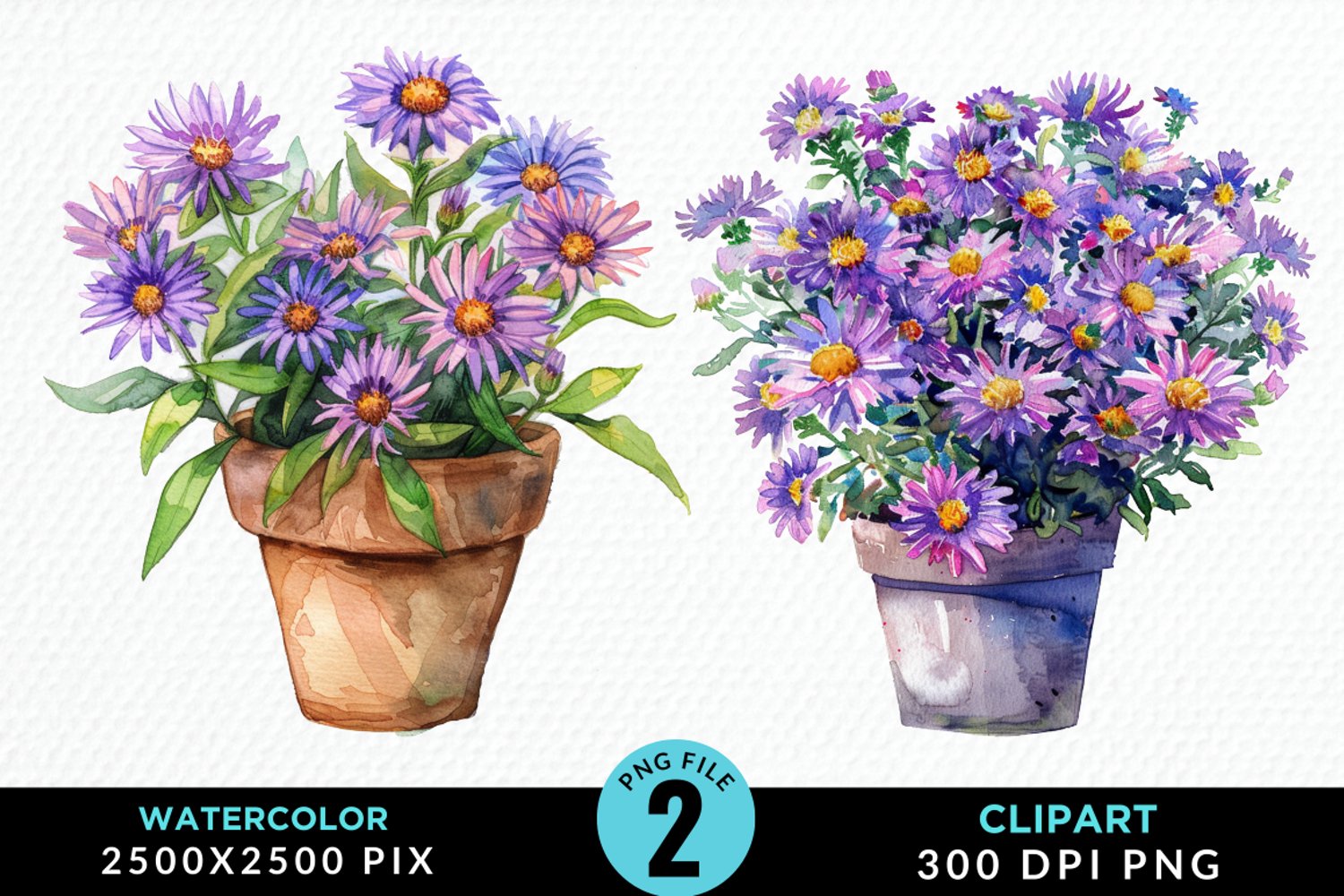 Watercolor Asters Pot Graphics Clipart product image 1