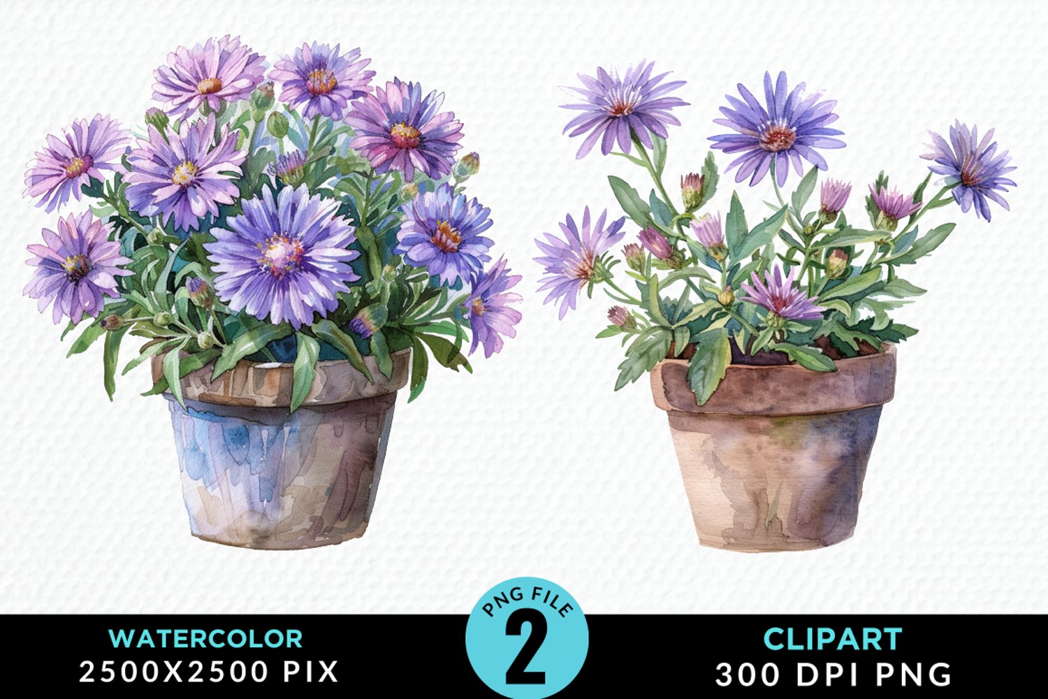 Watercolor Asters Pot Image Clipart product image 1