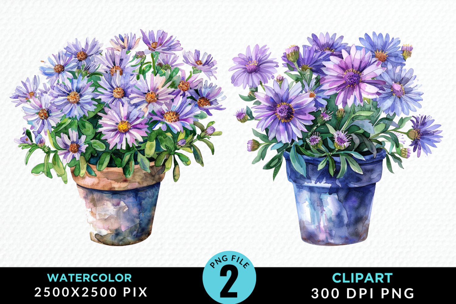 Watercolor Asters Pot Graphics Clipart product image 1