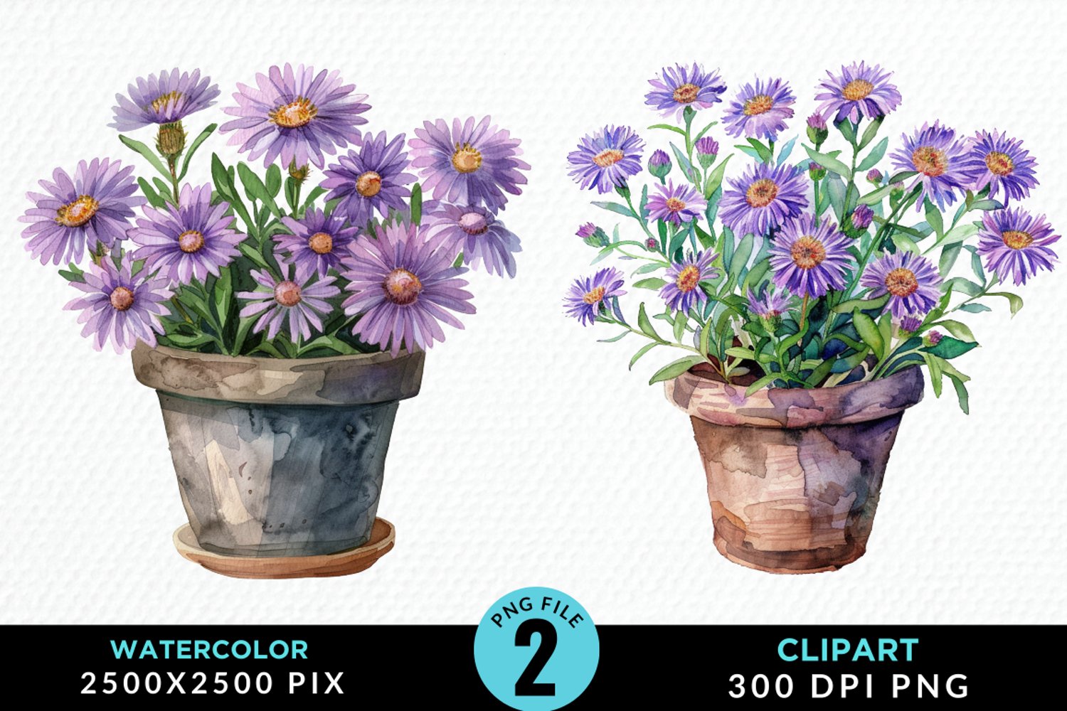 Watercolor Asters Pot Image Clipart product image 1
