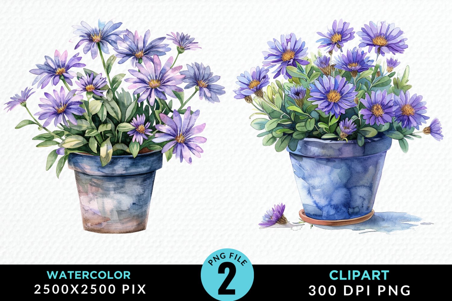 Watercolor Asters Pot Graphics Clipart product image 1
