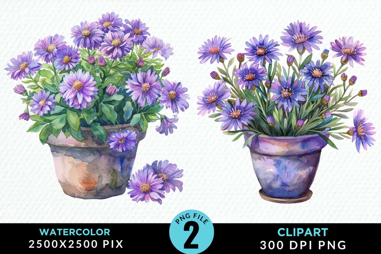 Watercolor Asters Pot Graphics Clipart product image 1