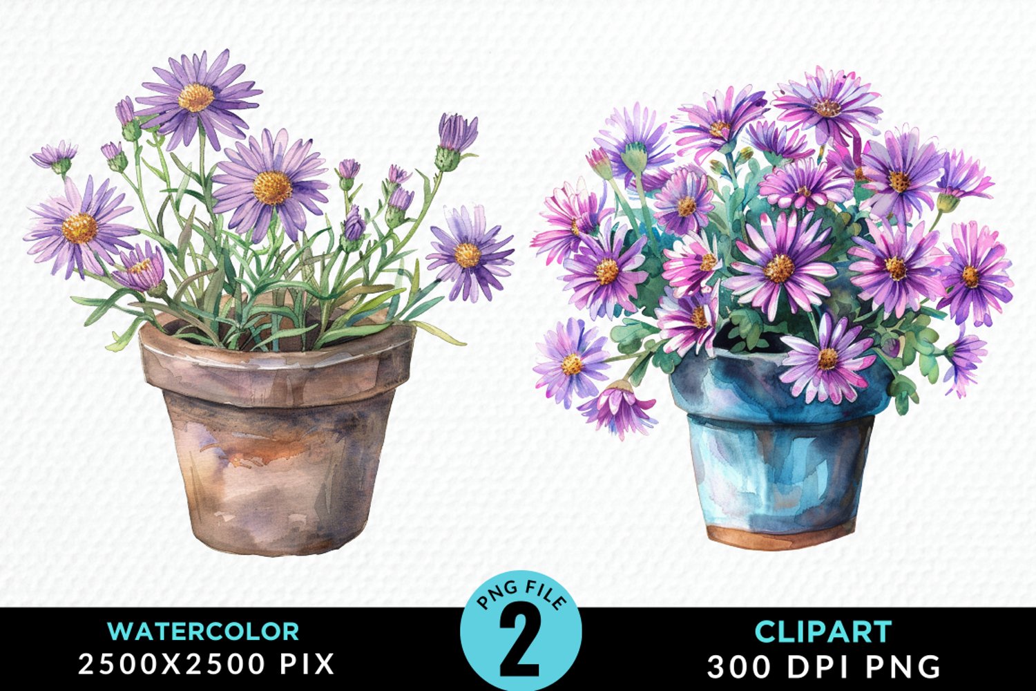 Watercolor Asters Pot Graphics Clipart product image 1