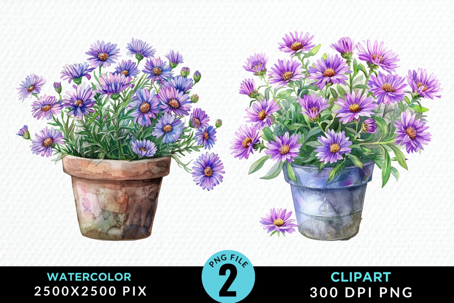 Watercolor Asters Pot Image Clipart product image 1