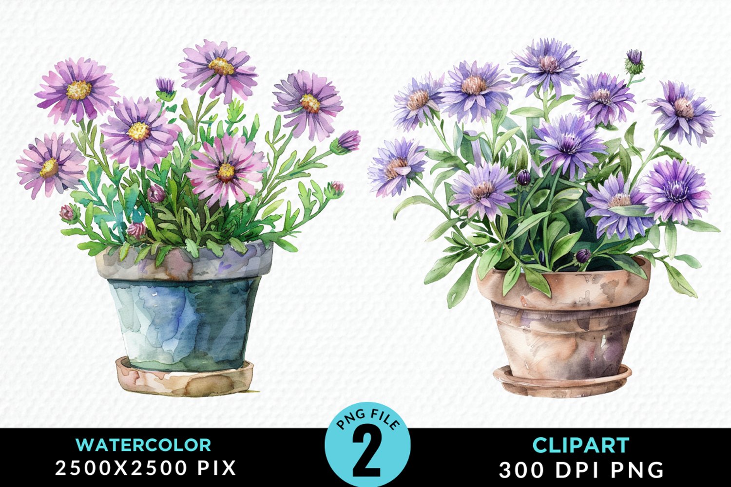Watercolor Asters Pot Image Clipart product image 1