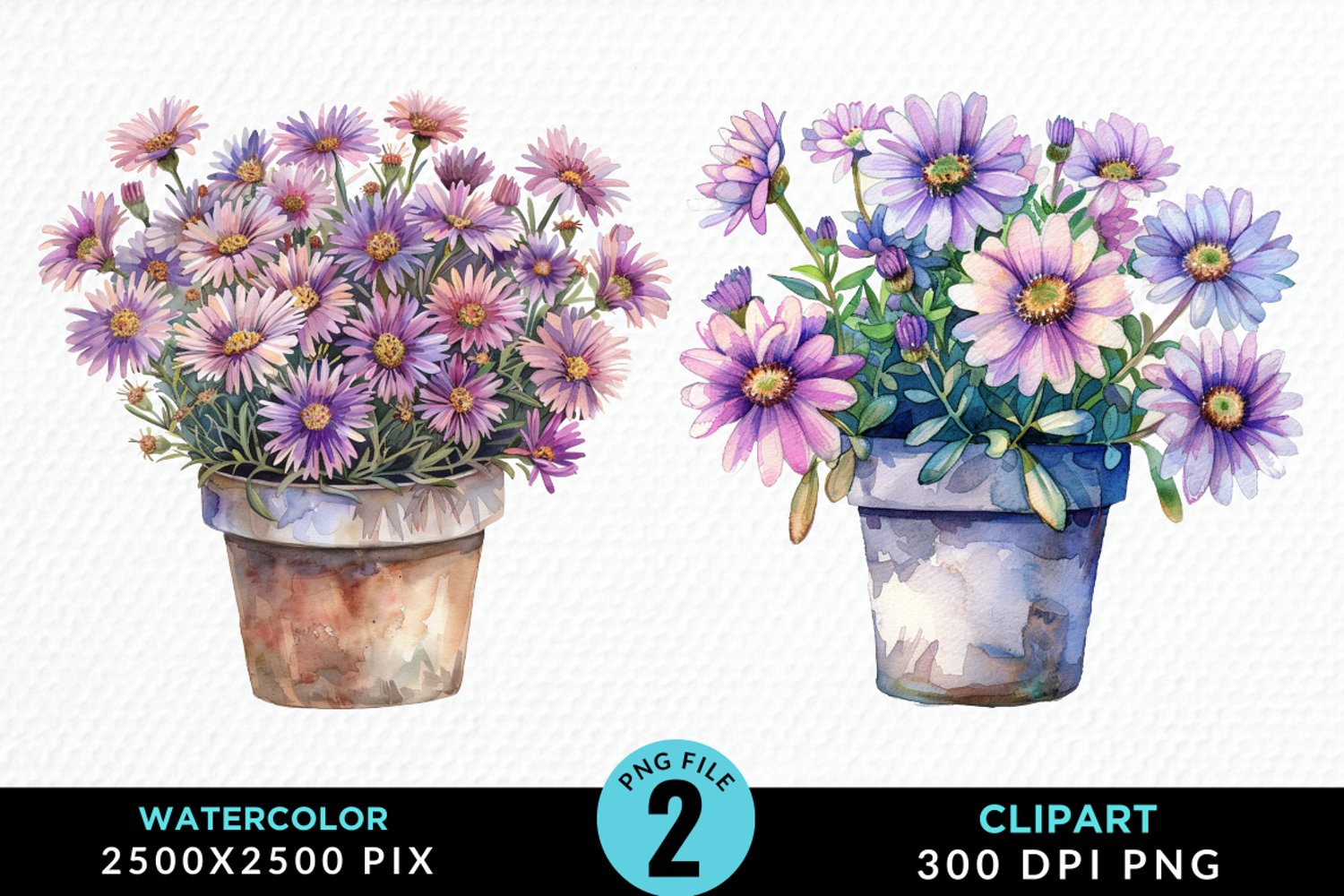 Watercolor Asters Pot Graphics Clipart product image 1