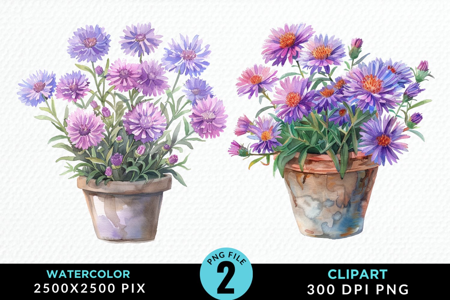 Watercolor Asters Pot Graphics Clipart product image 1