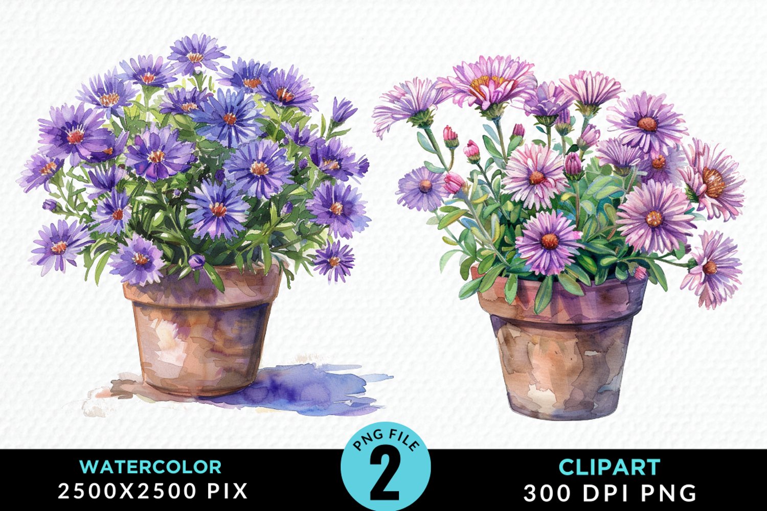 Watercolor Asters Pot Image Clipart product image 1