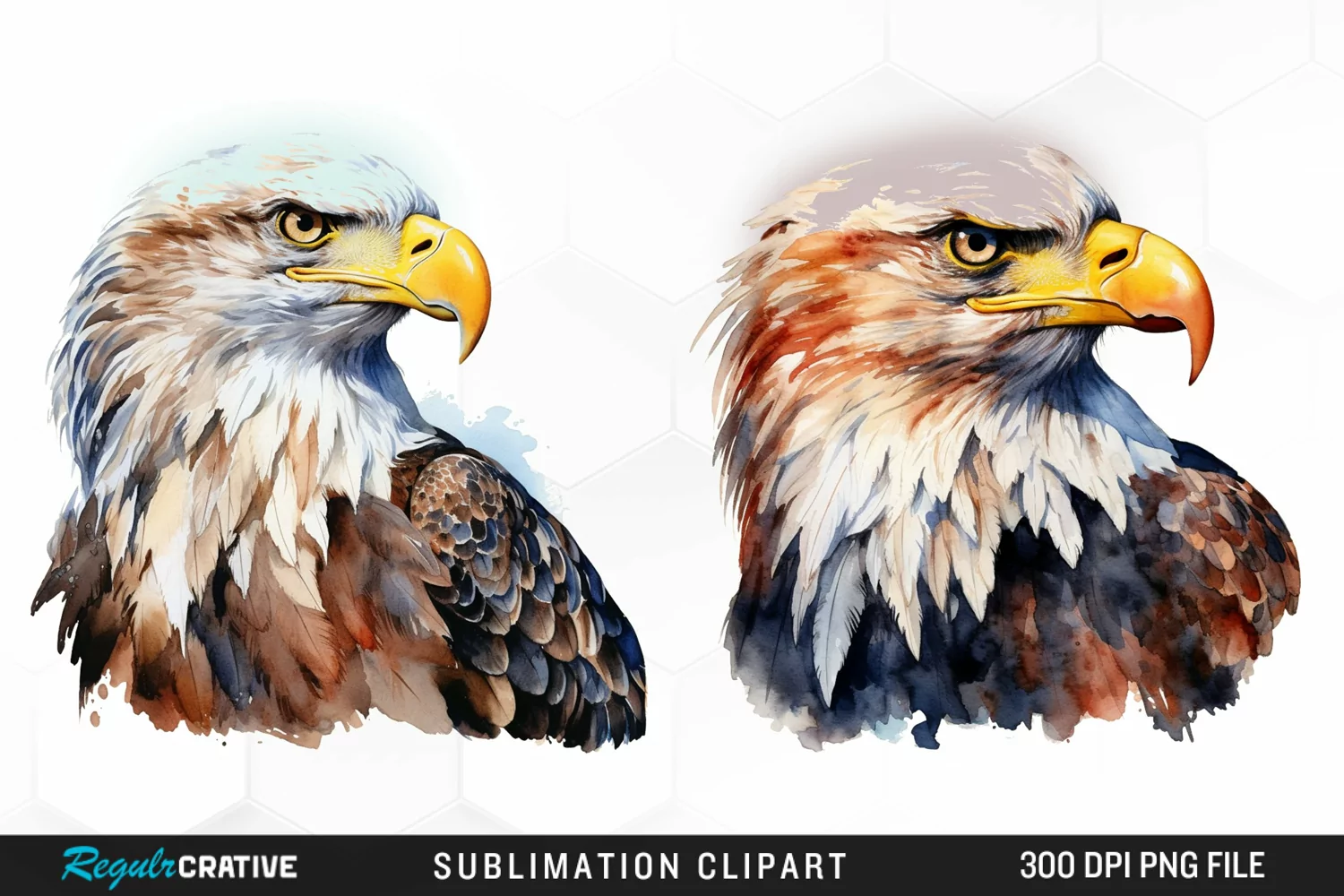 Watercolor Bald Eagle Sublimation Art Clipart product image 1