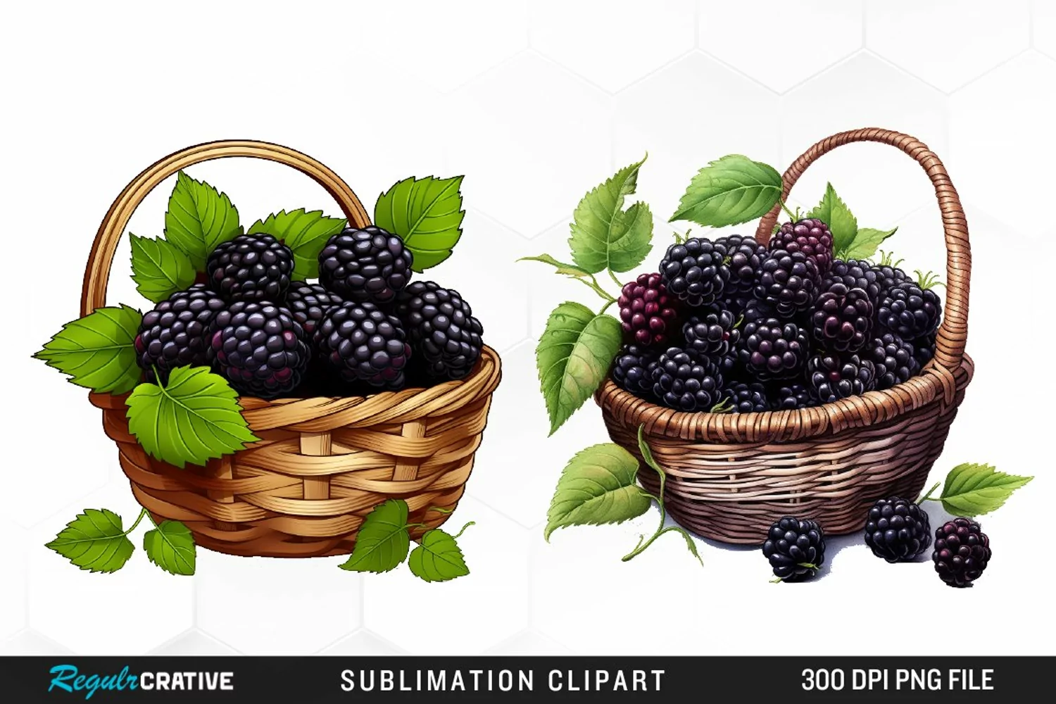 Watercolor Basket Blackberry Graphics Clipart product image 1