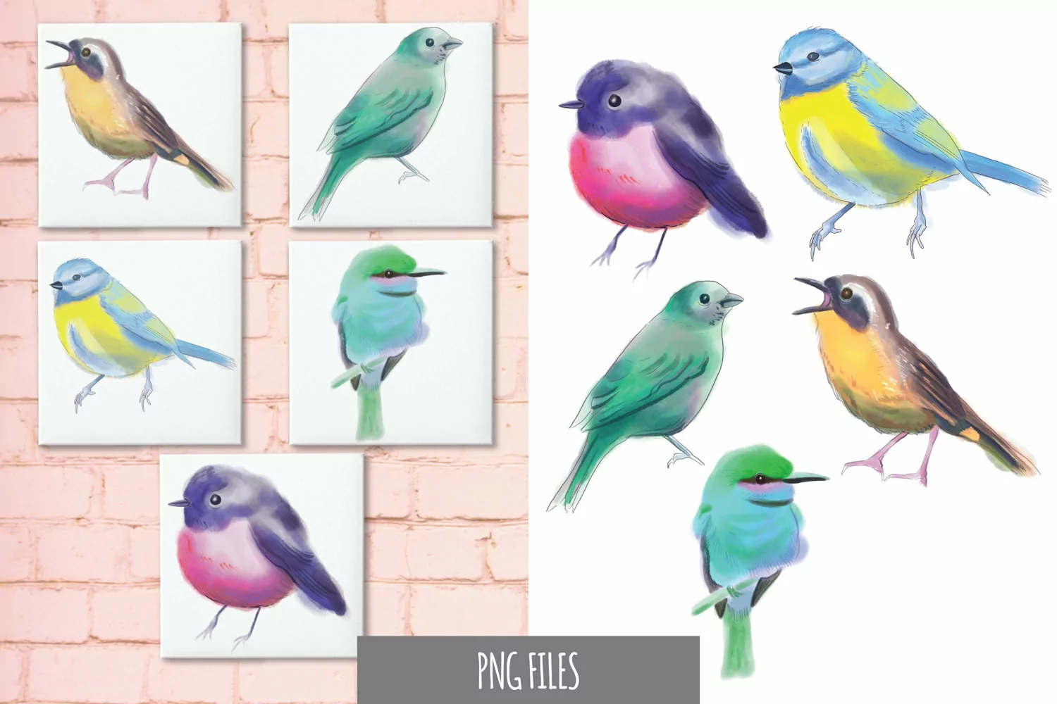 Watercolor of Bird Breeds Sublimation product image 1