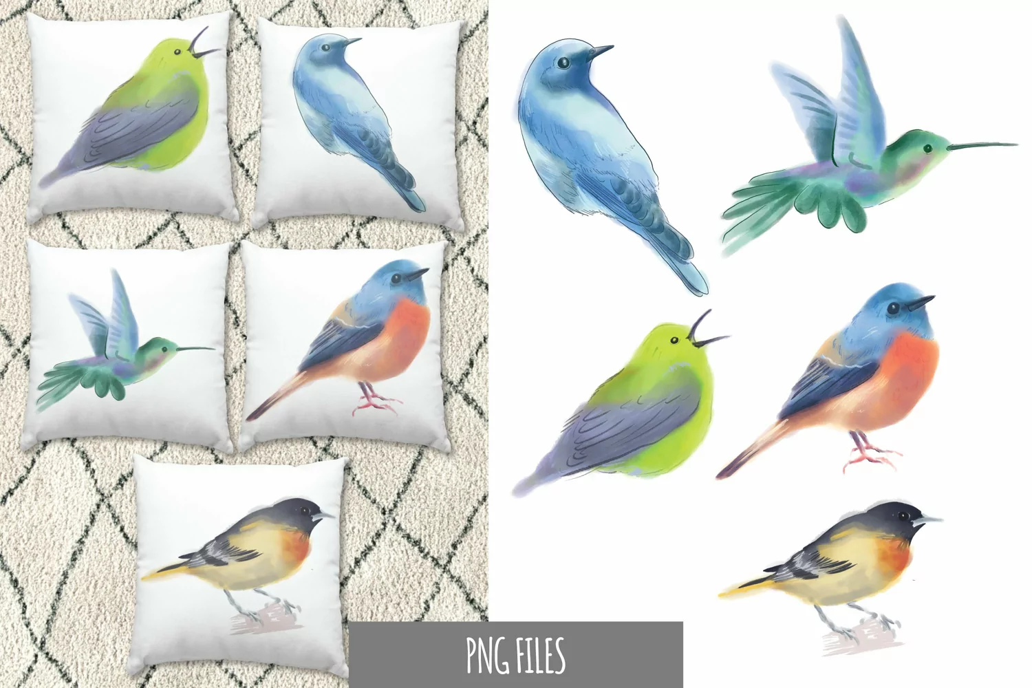 Colorful Bird Breeds Watercolor Sublimation product image 1