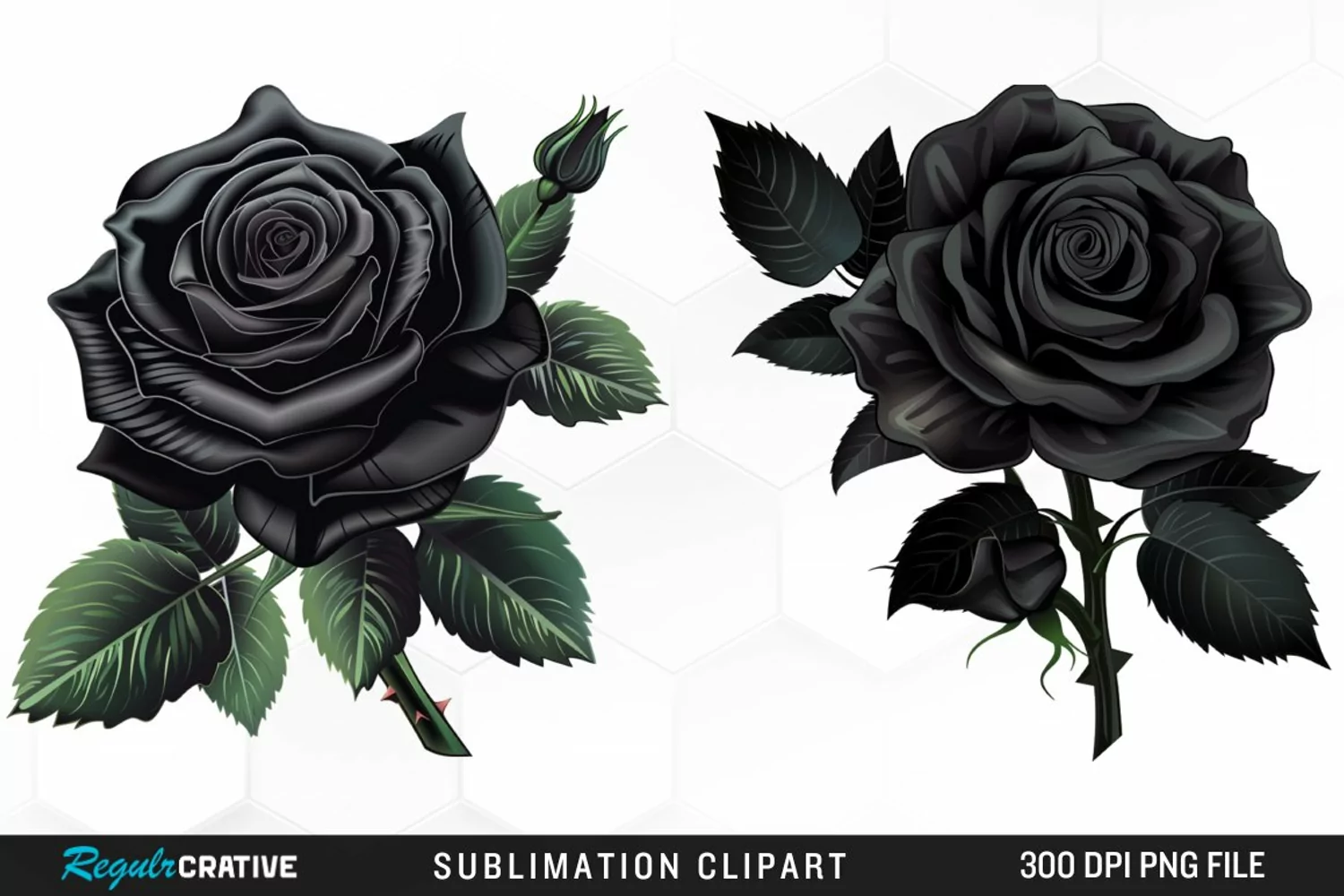 Watercolor Black Rose Artwork Clipart product image 1