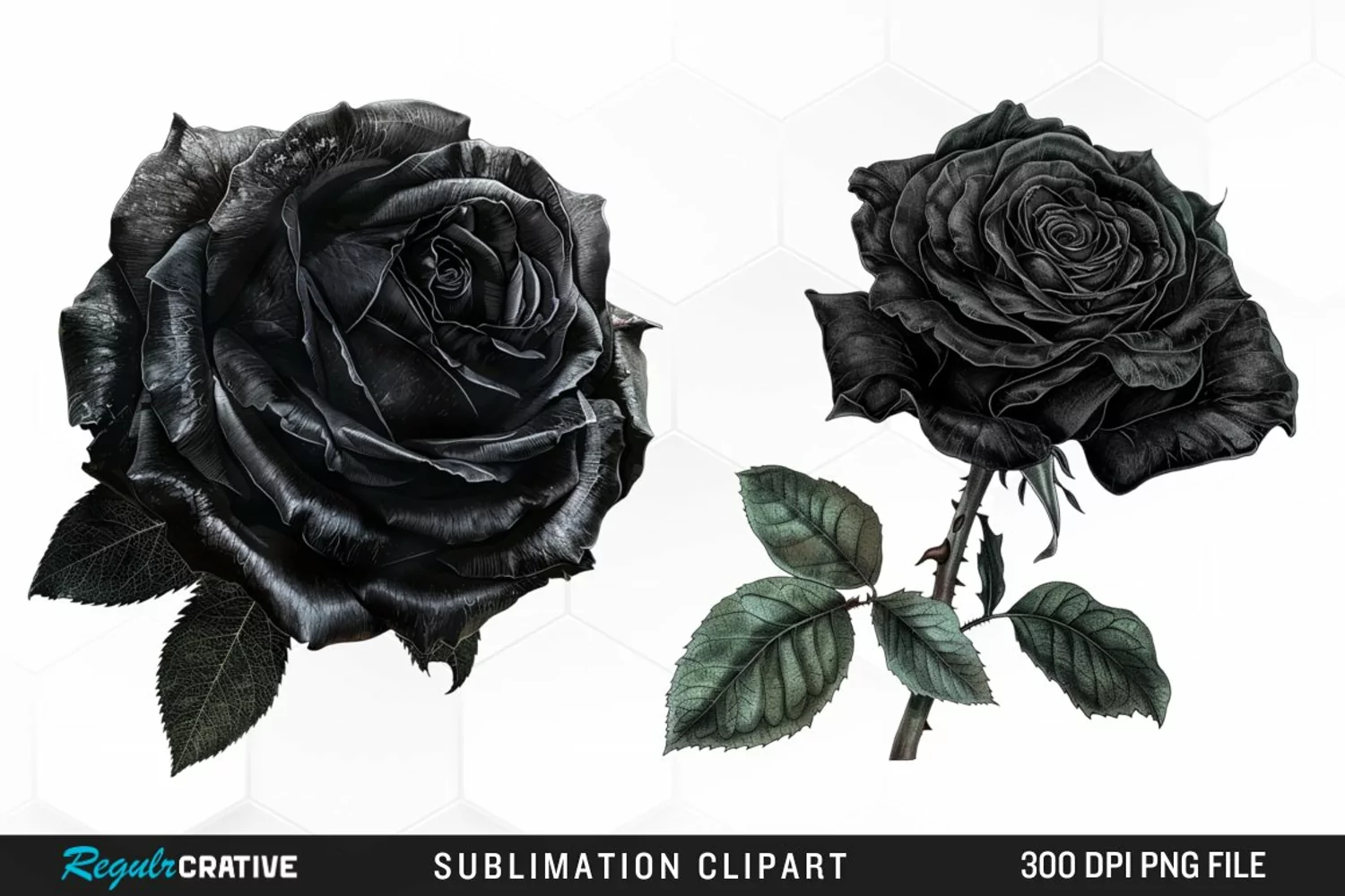 Watercolor Black Rose Artwork Clipart product image 1