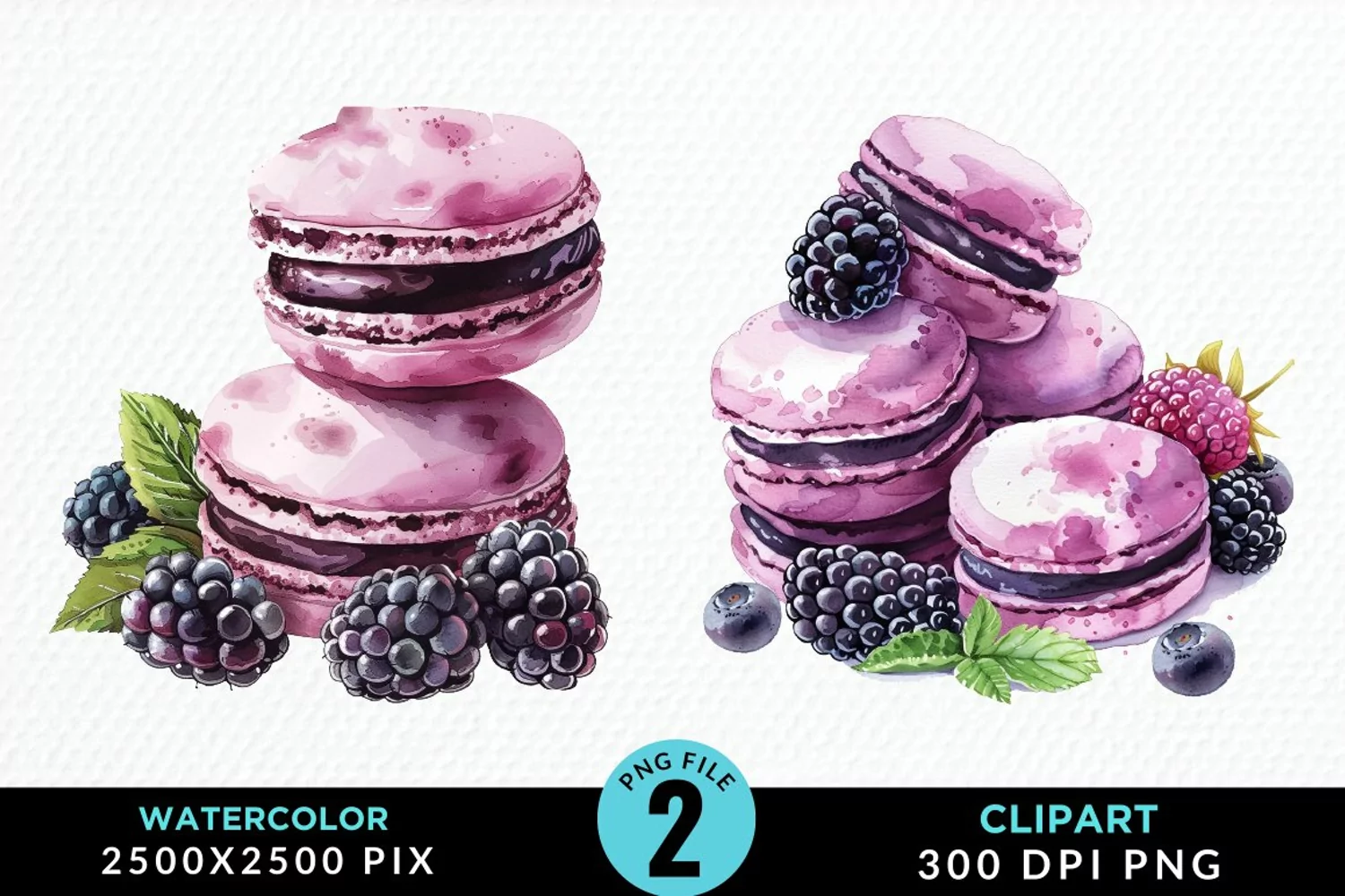 Watercolor Blackberries Exquisite Clipart product image 1
