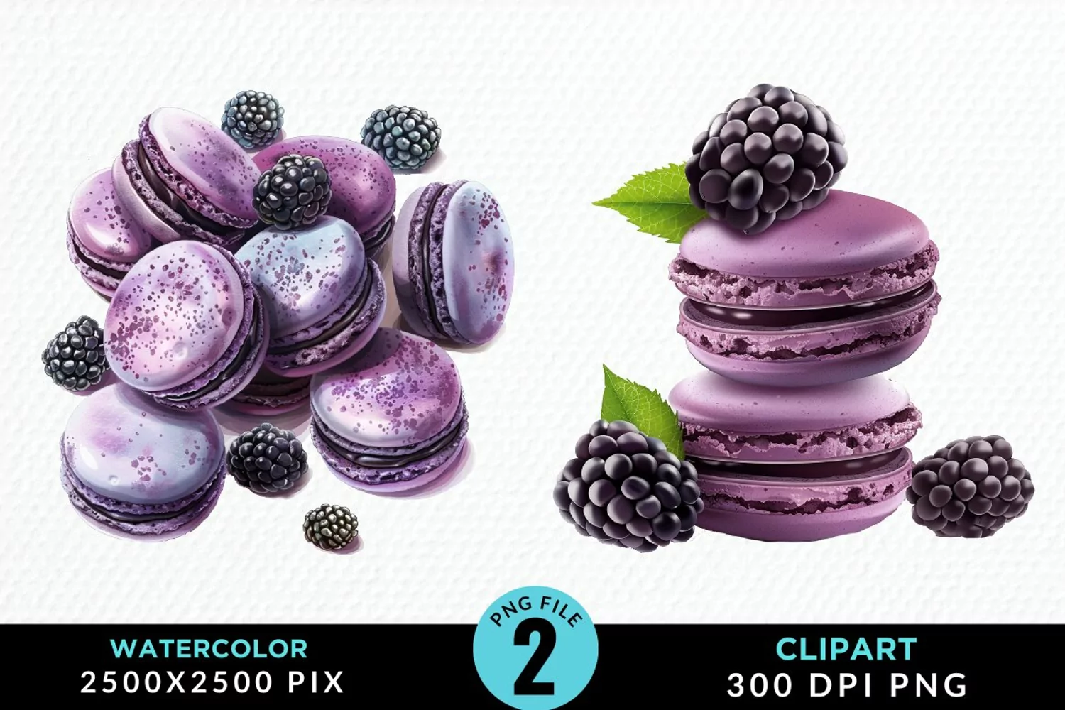 Watercolor Blackberries Exquisite Clipart product image 1