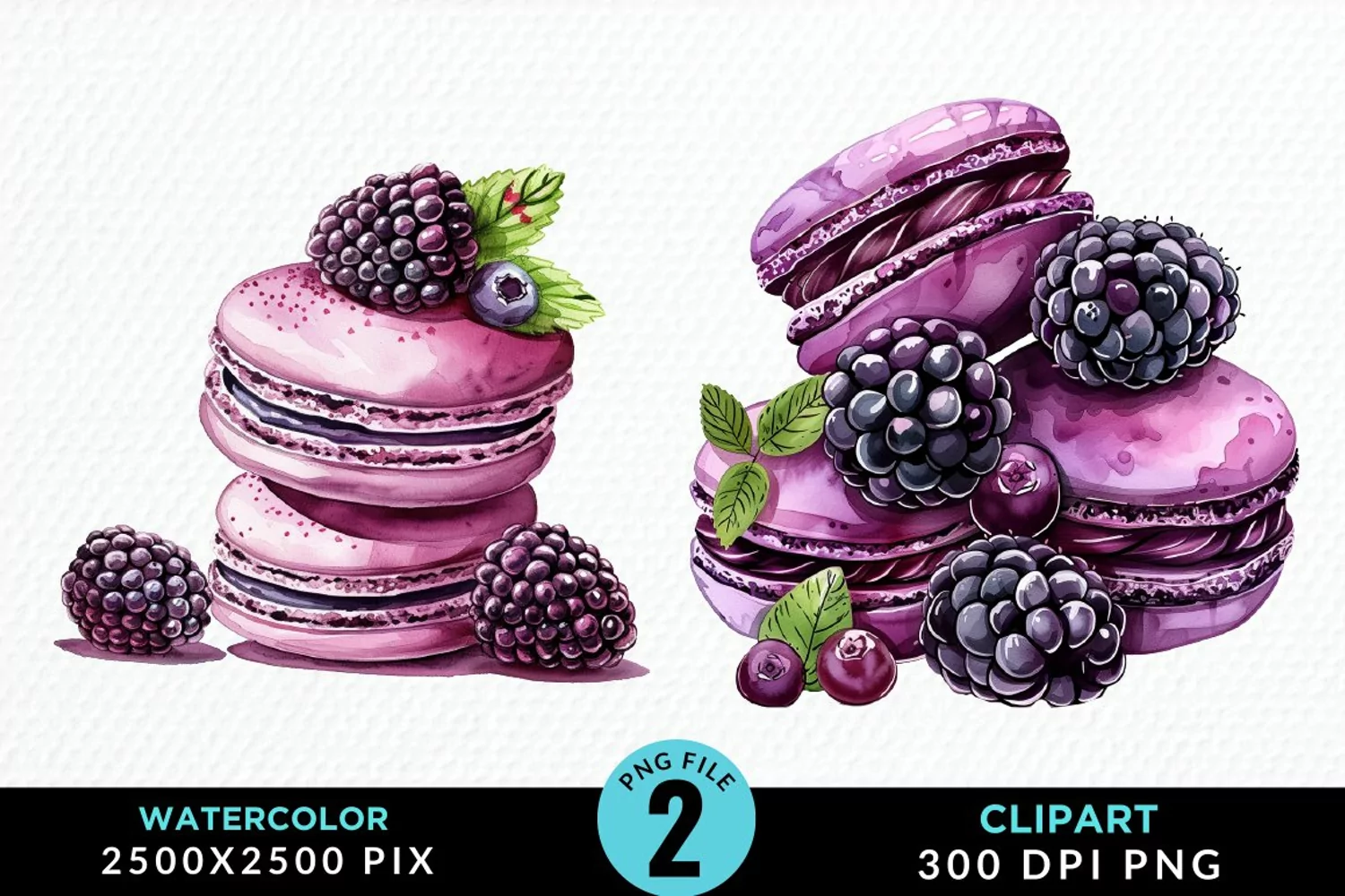 Watercolor Blackberries Exquisite Clipart product image 1