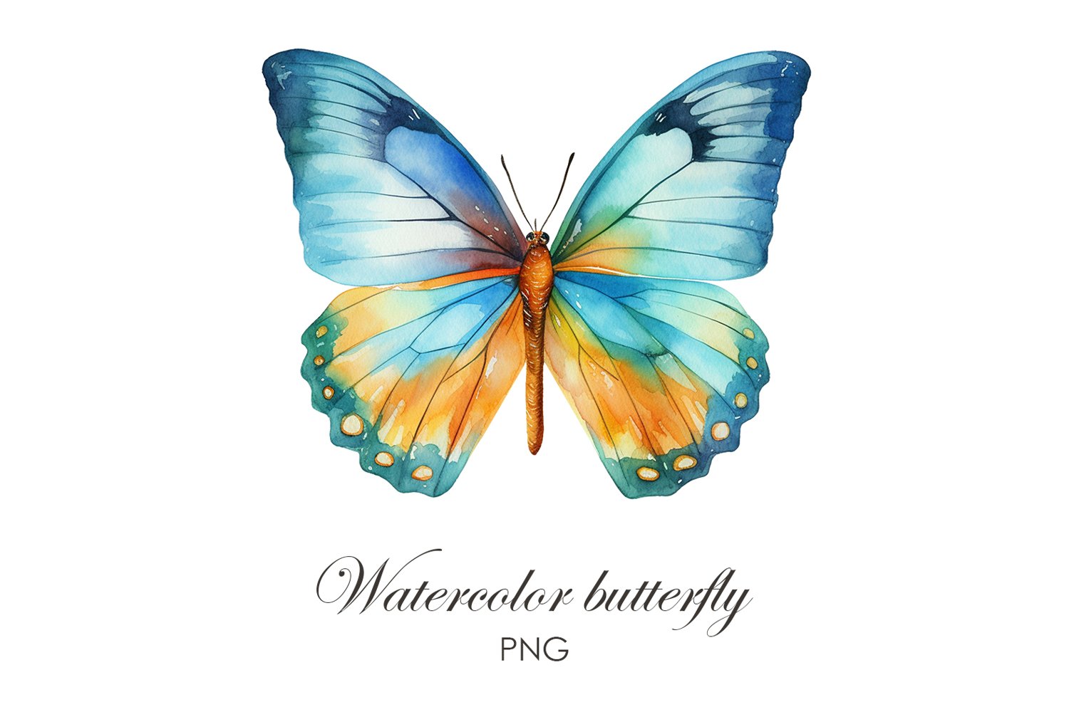 Watercolor blue butterfly sublimation