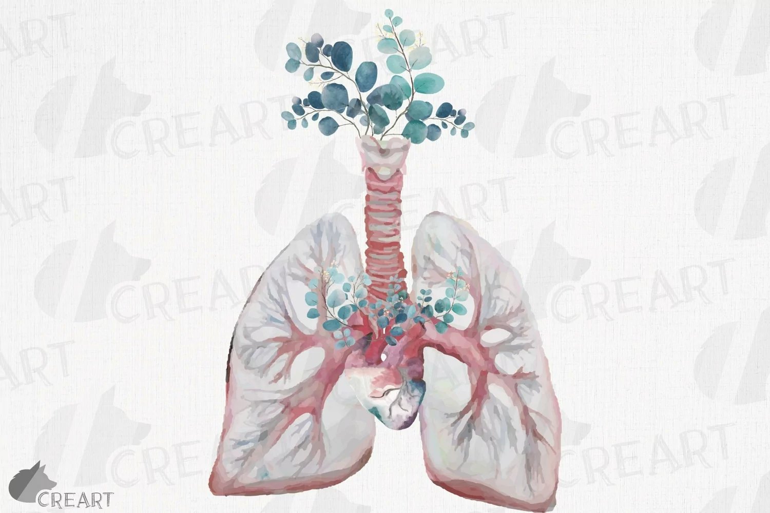 Eucalyptus and anatomical blush lungs with heart graphic product image 1