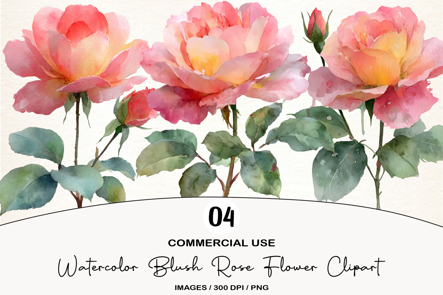Watercolor Blush Rose Flower Clipart product image 1