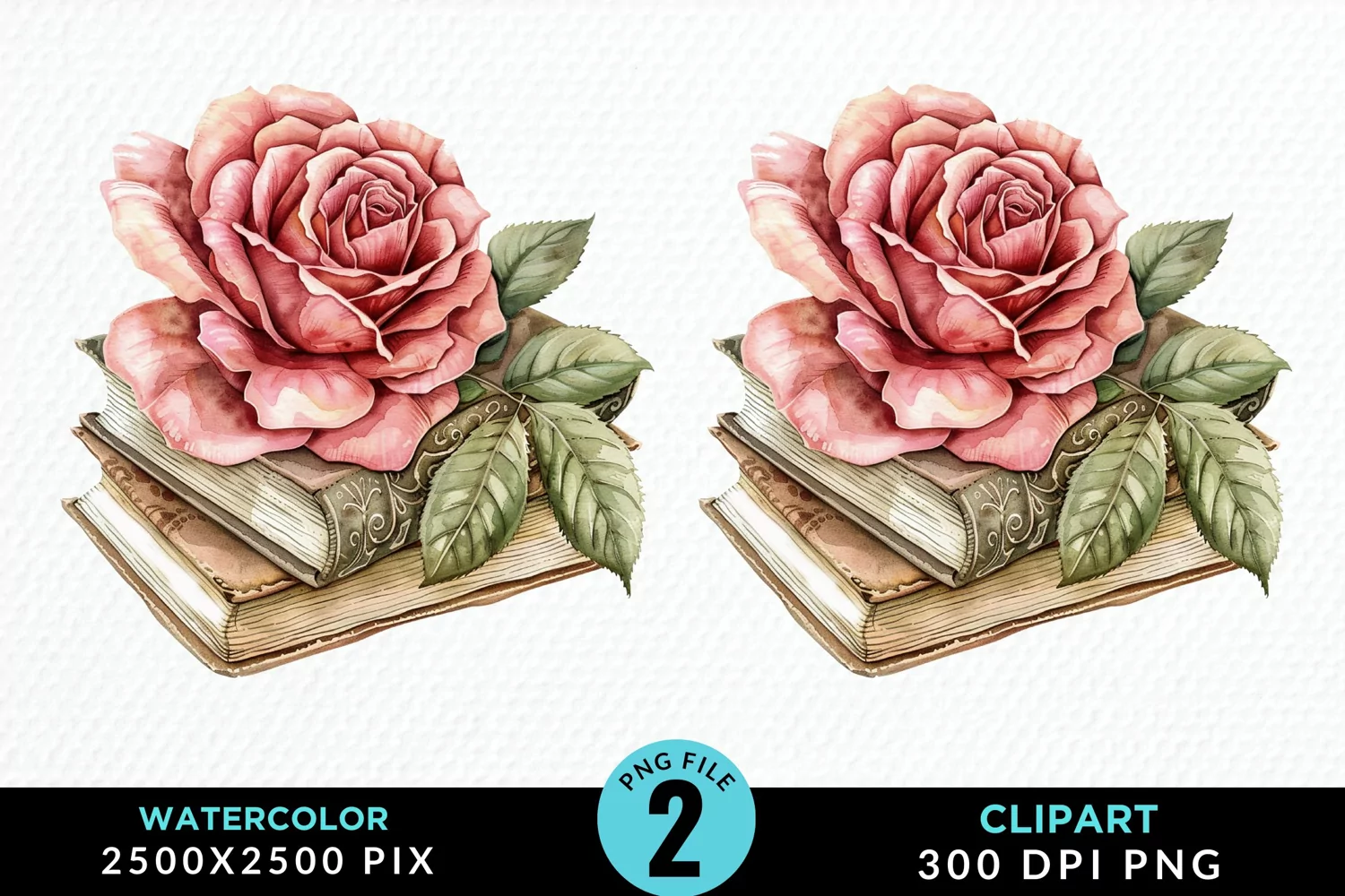 Watercolor Books Rose Illustration Clipart product image 1