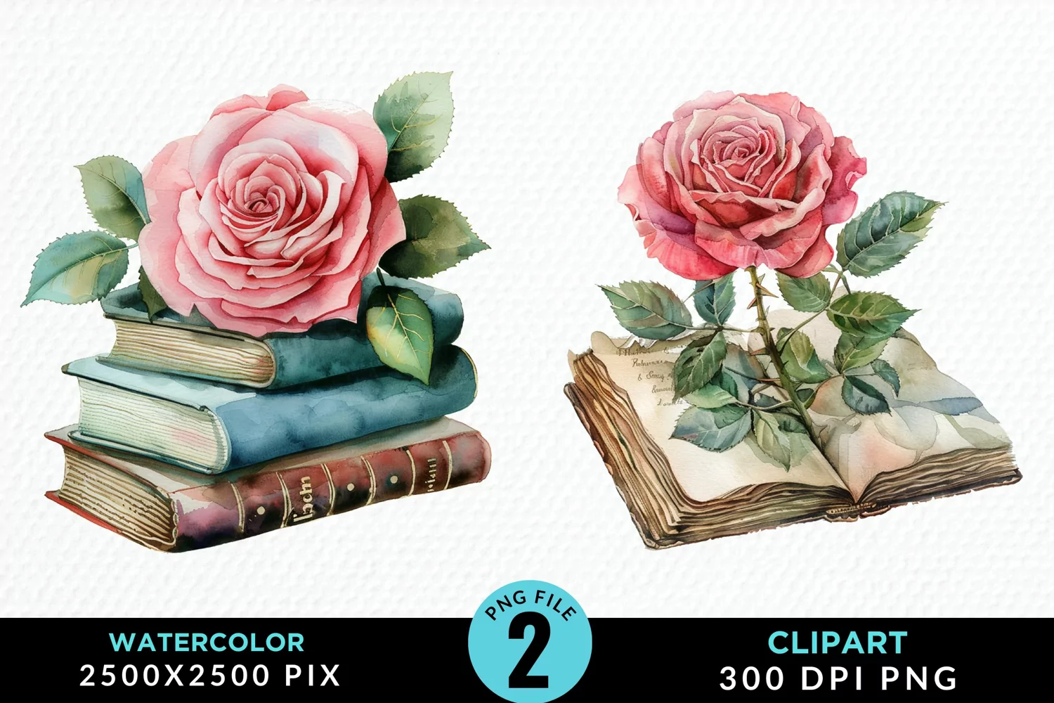 Watercolor Books Rose Illustration Clipart product image 1