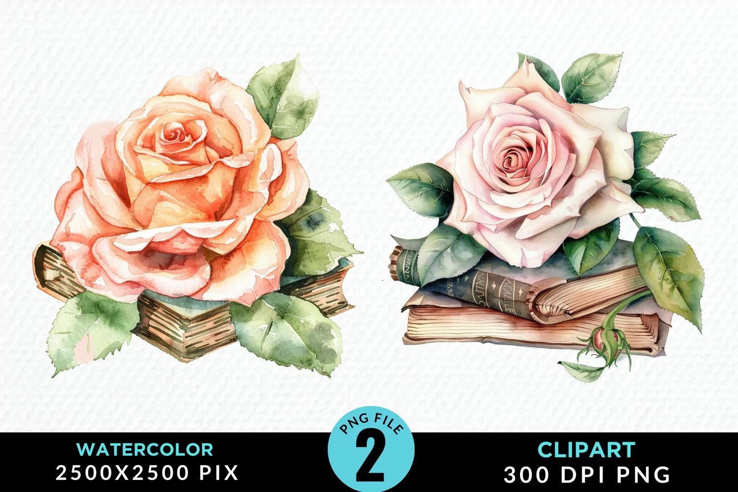 Watercolor Books Rose Illustration Clipart product image 1