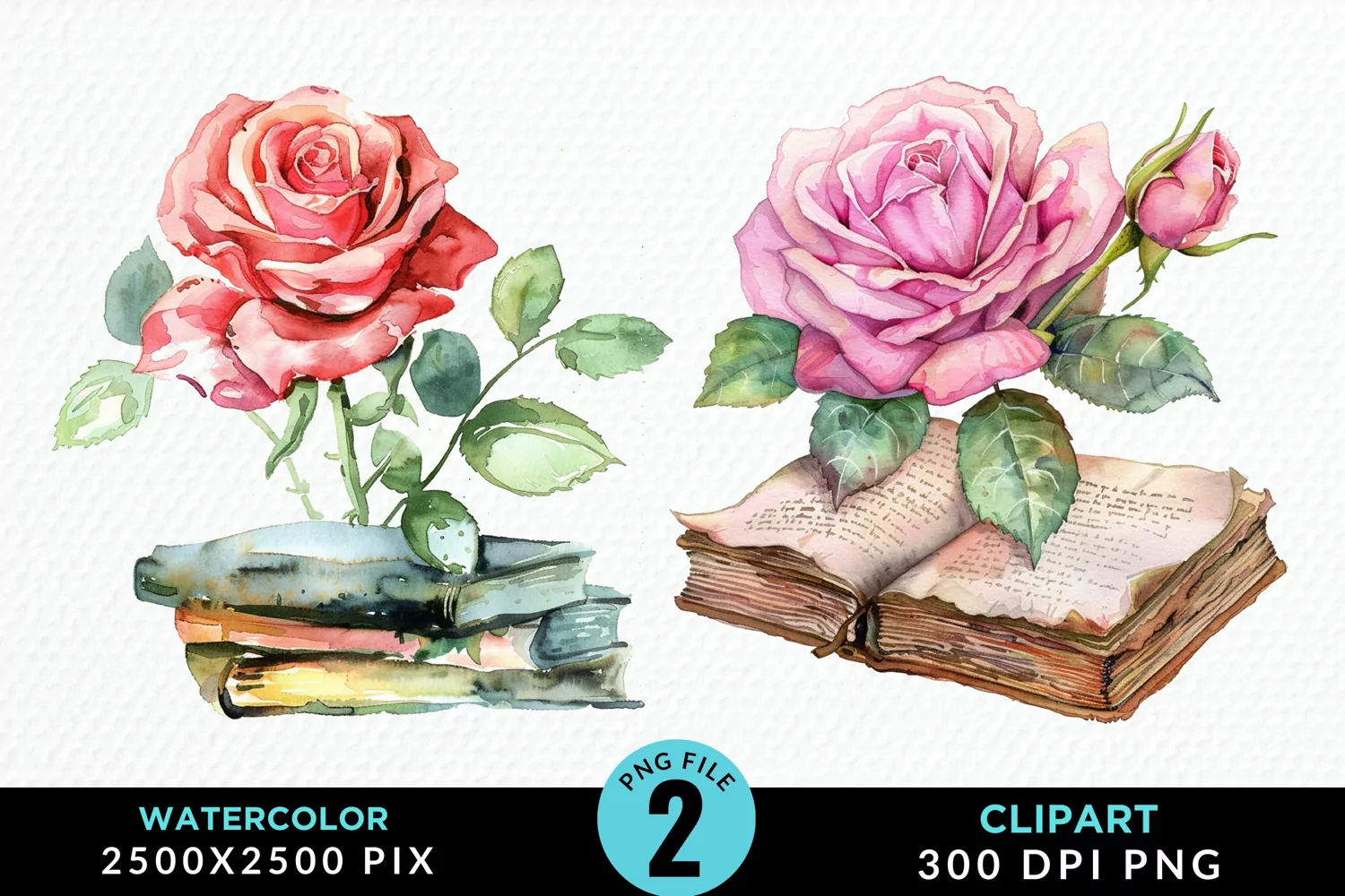 Watercolor Books Rose Exquisite Clipart product image 1