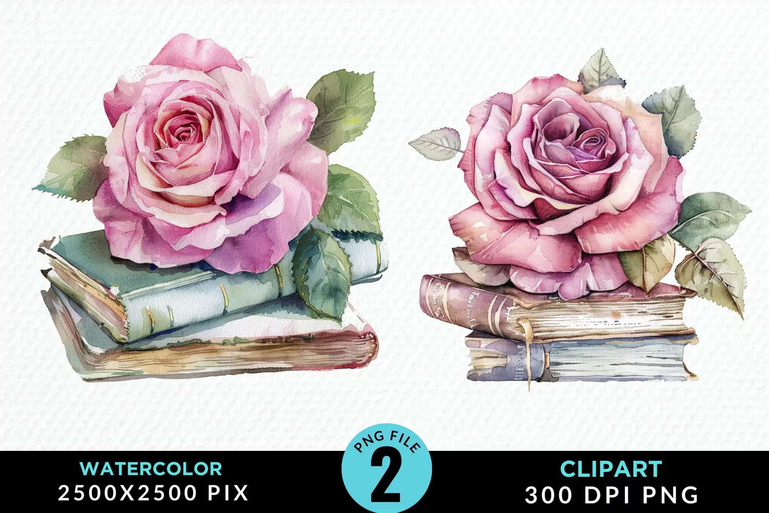 Watercolor Books Rose Illustration Clipart product image 1