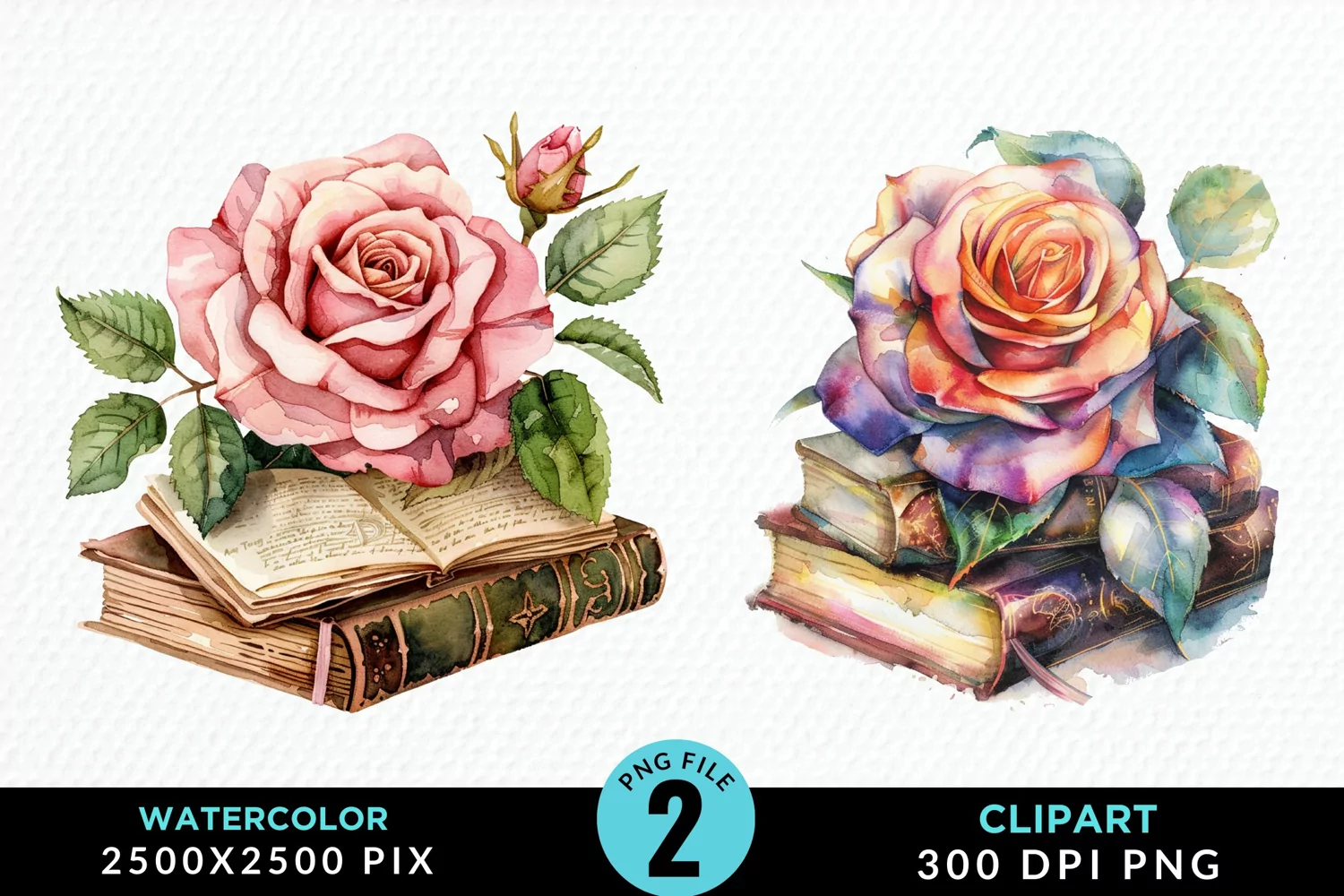 Watercolor Books Rose Illustration Clipart product image 1