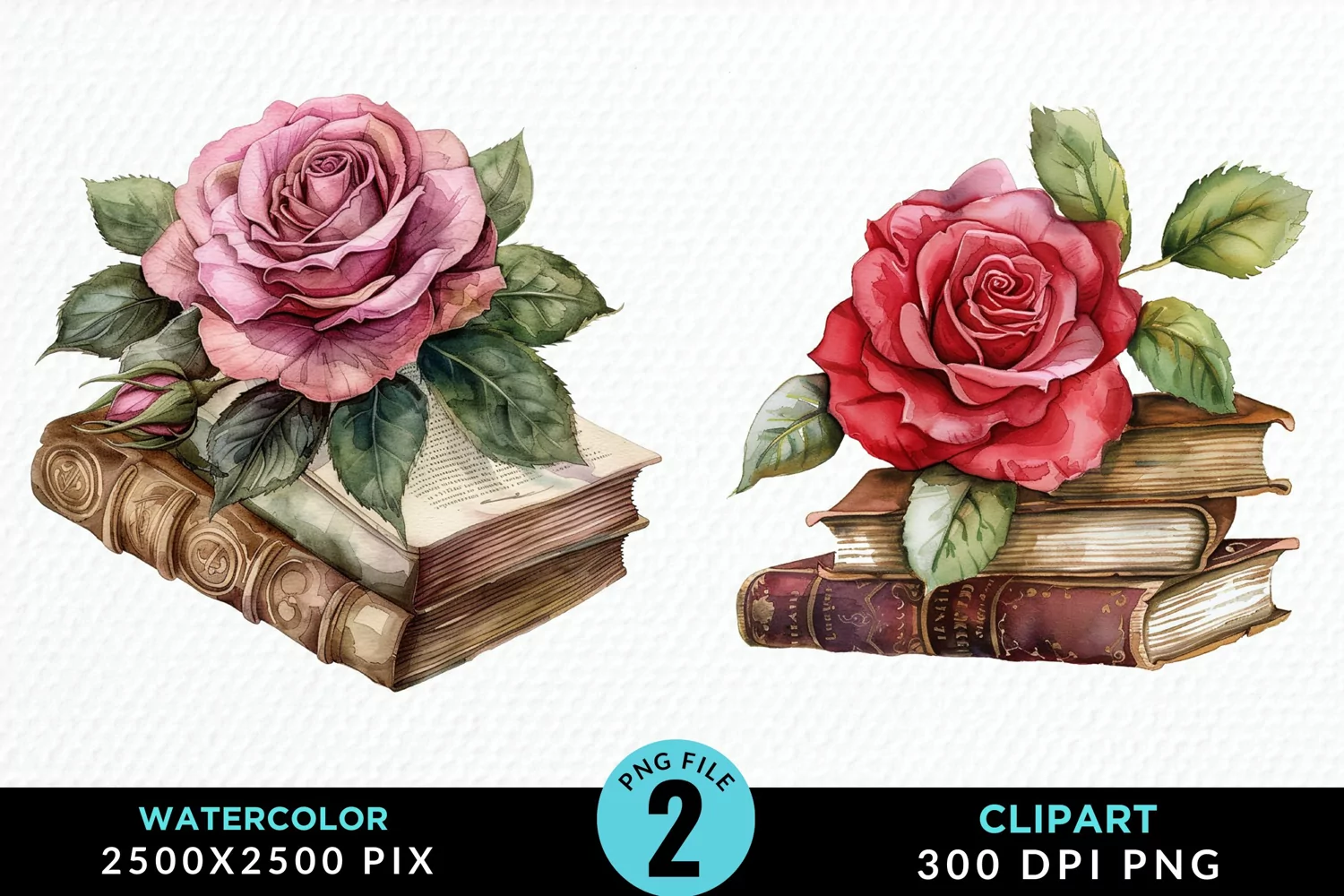 Watercolor Books Rose Illustration Clipart product image 1