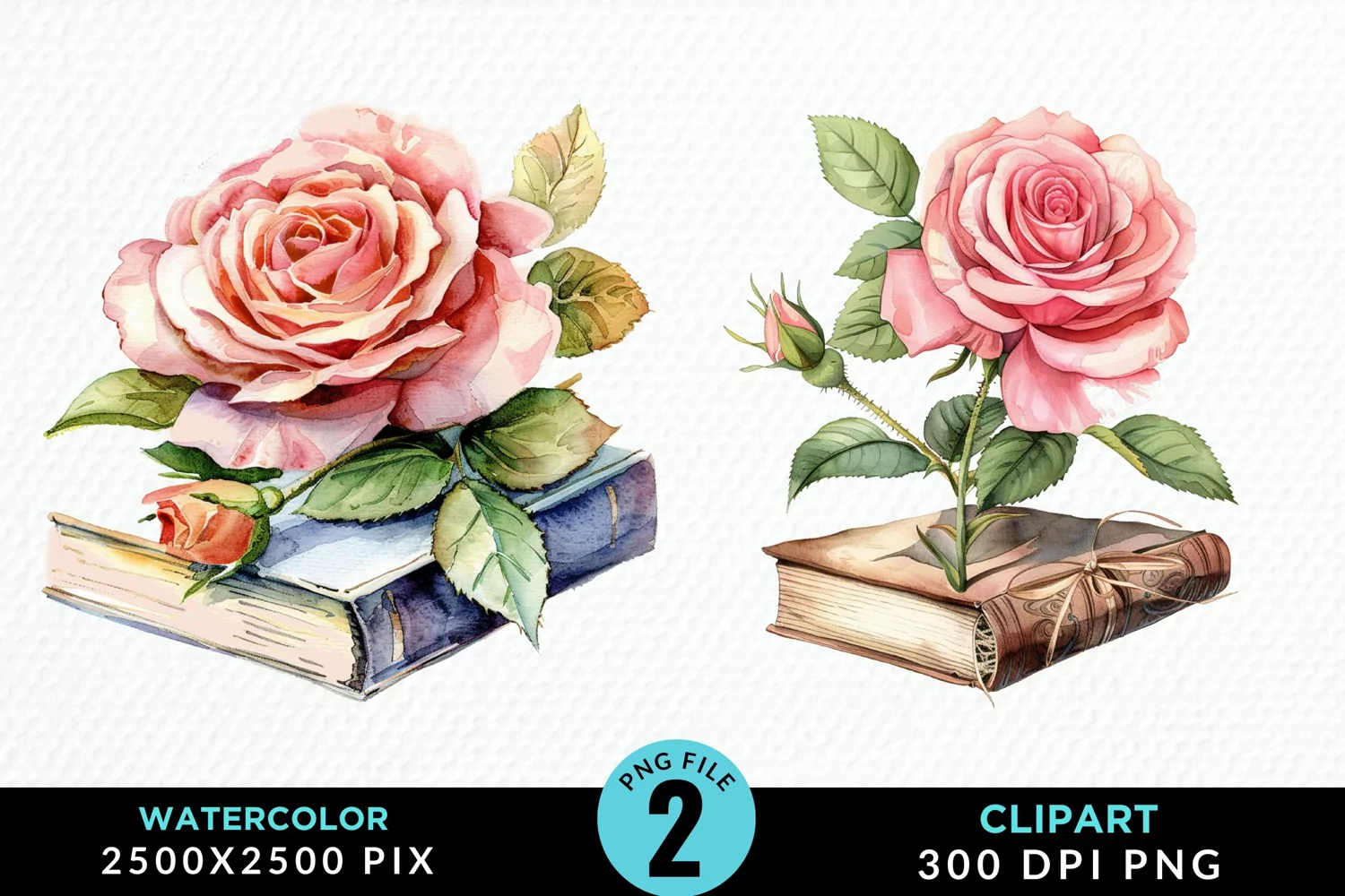 Watercolor Books Rose Exquisite Clipart product image 1
