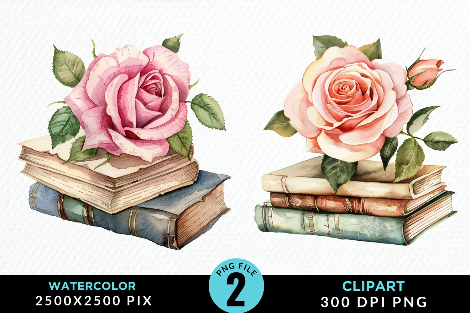 Watercolor Books Rose Illustration Clipart product image 1