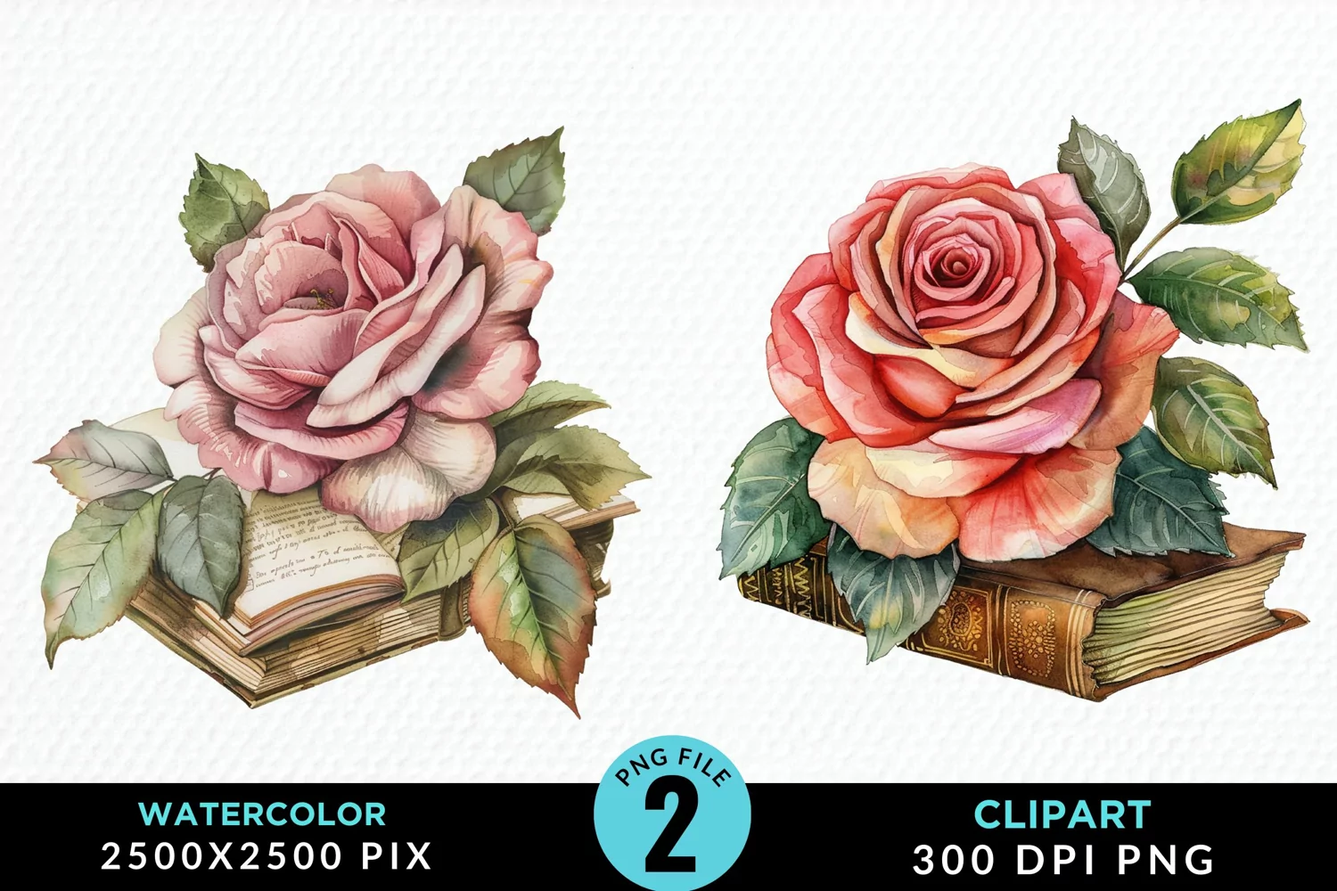 Watercolor Books Rose Illustration Clipart product image 1