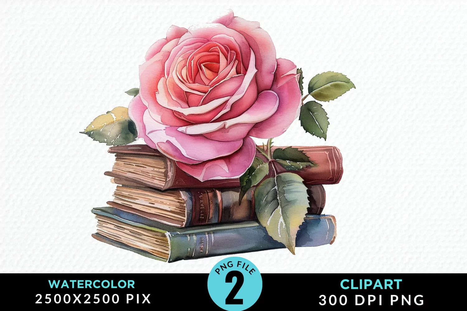 Watercolor Books Rose Exquisite Clipart product image 1