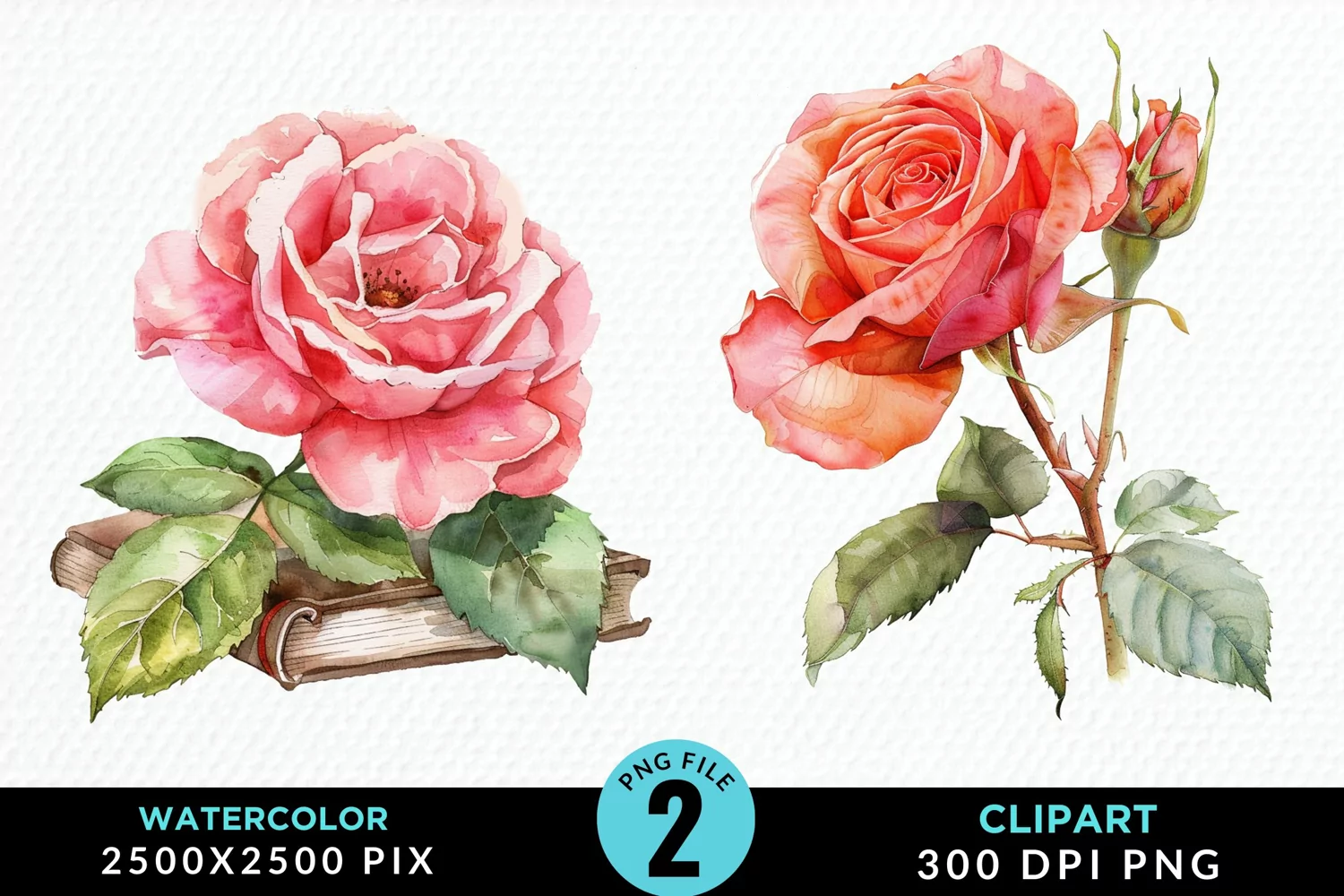 Watercolor Books Rose Illustration Clipart product image 1