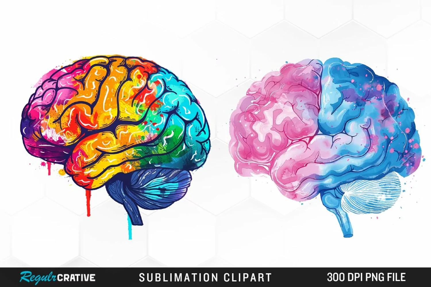 Watercolor Brain Exquisite Clipart product image 1