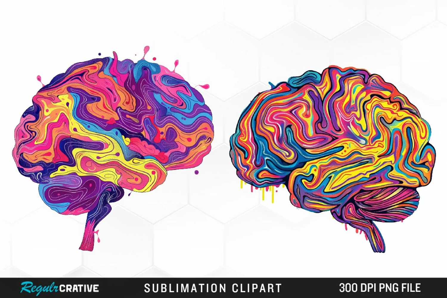 Watercolor Brain Exquisite Clipart product image 1