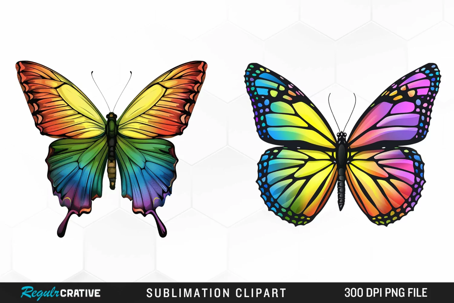 Rainbow Butterfly Artwork Clipart product image 1