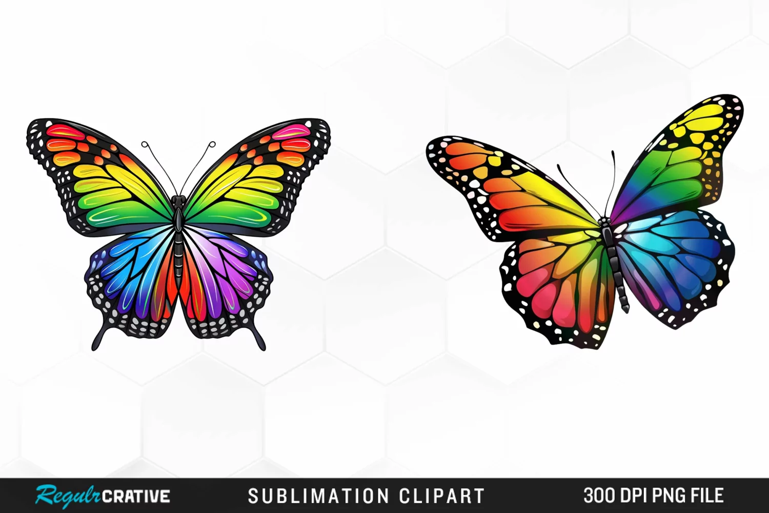 Rainbow Butterfly Artwork Clipart product image 1