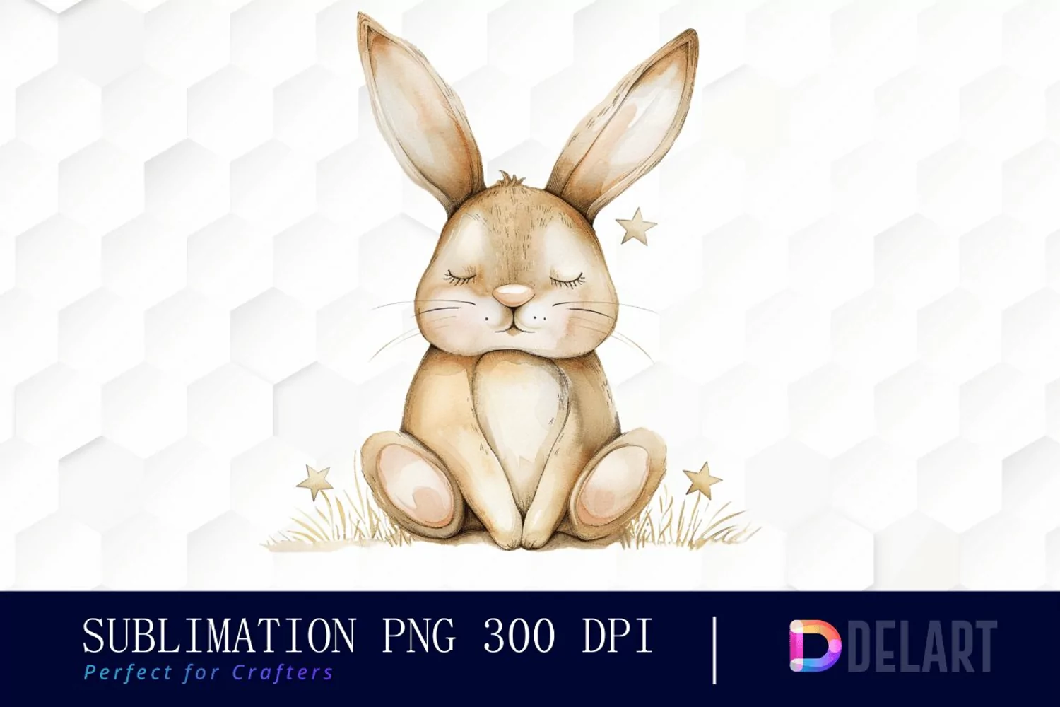 Bunny With Star Graphics Clipart product image 1