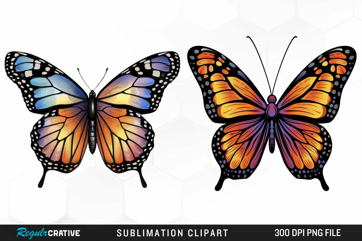 Watercolor Butterfly Illustration Clipart product image 1