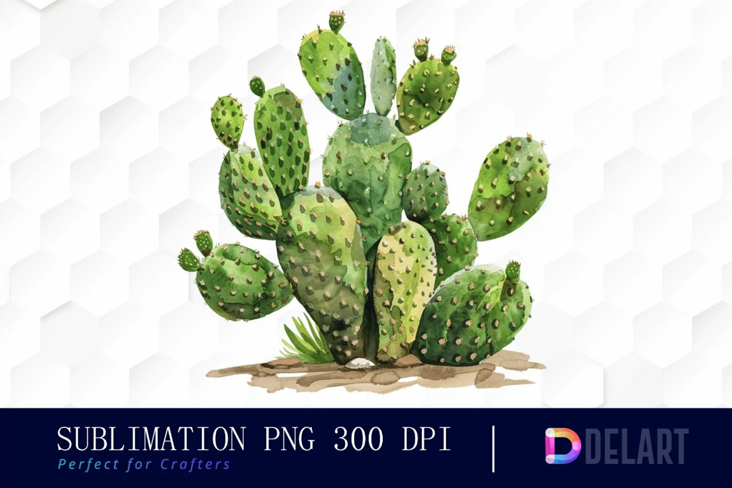 Cactus Watercolor Clipart product image 1