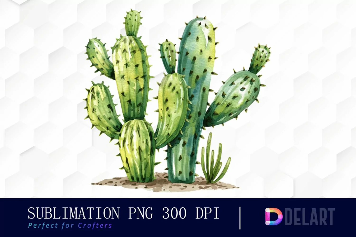 Cactus Graphics Clipart product image 1