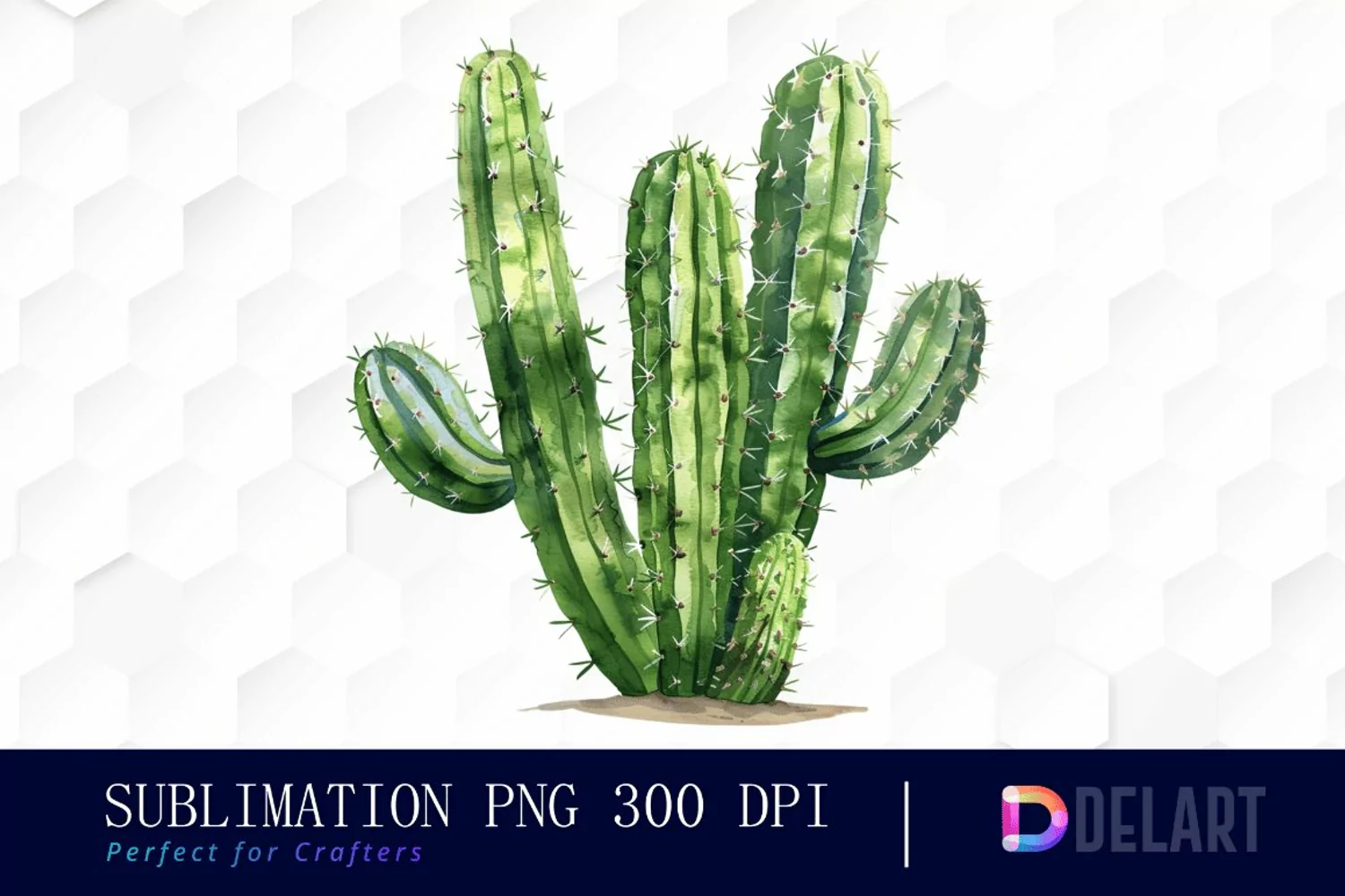 Cactus Graphics Clipart product image 1