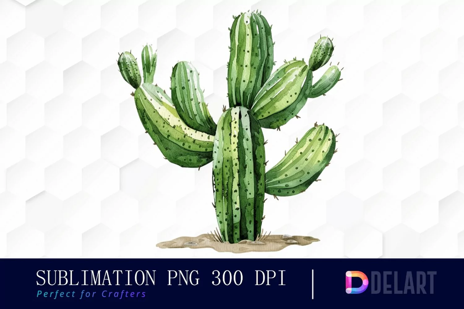 Cactus Illustration Clipart product image 1