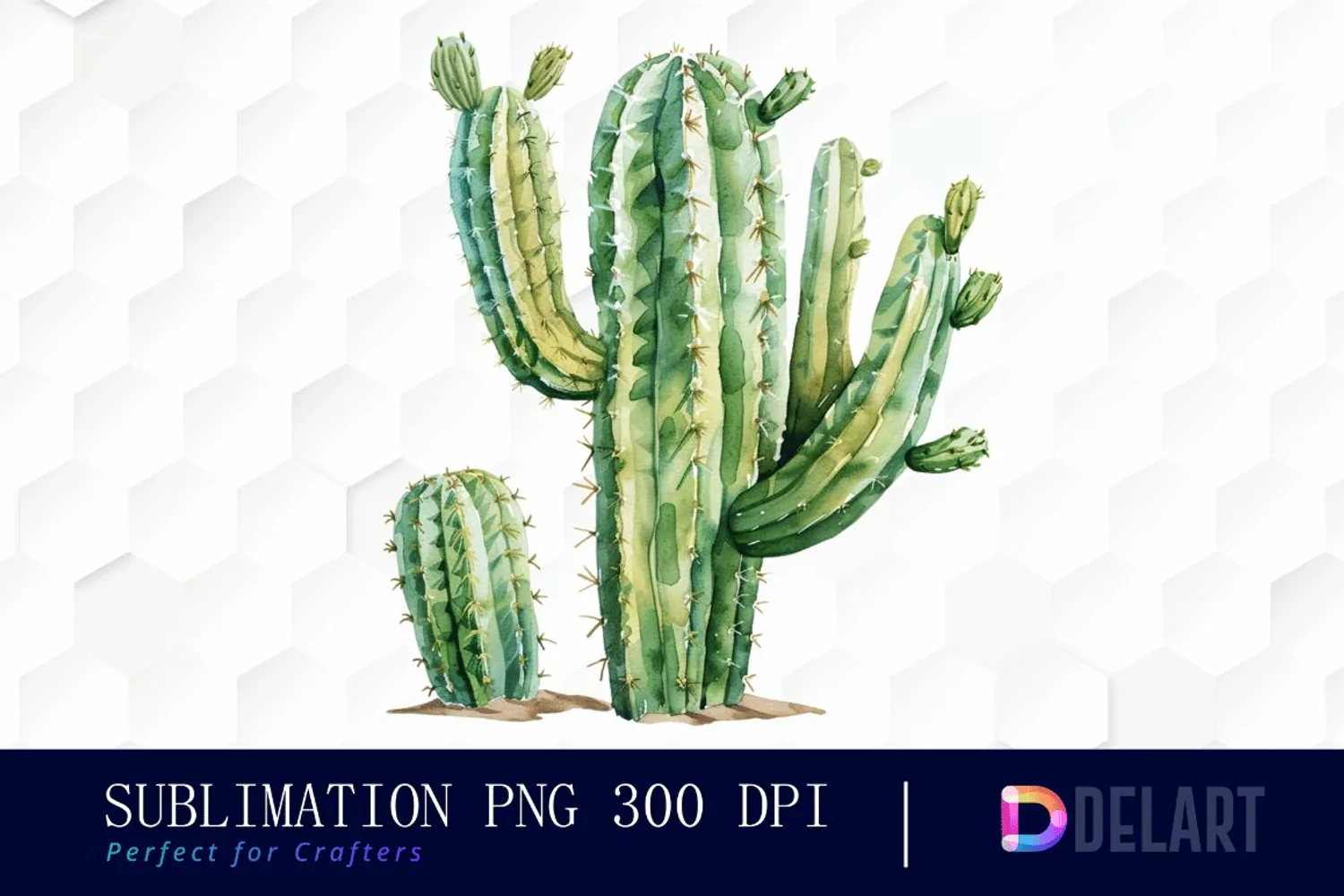 Cactus Illustration Clipart product image 1