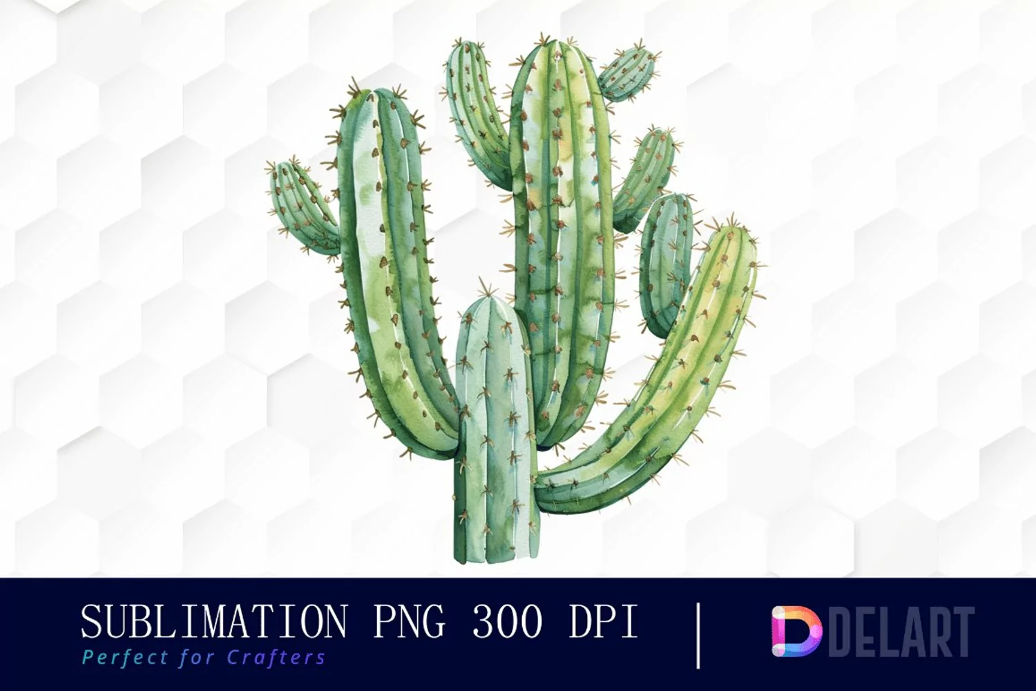 Cactus Graphics Clipart product image 1