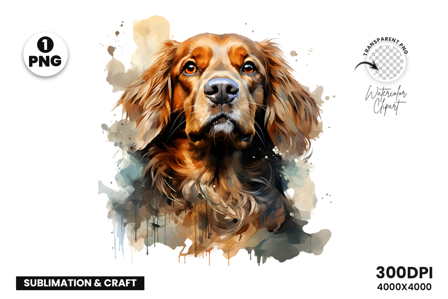 watercolor cavalier king charles spaniel clipart, spaniel dog png, cavalier sublimation design, dog clipart watercolor, cute spaniel art png, cavalier printable download, pet lover sublimation, king charles spaniel clipart, spaniel digital illustration, c